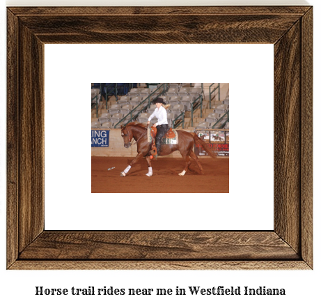 horse trail rides near me in Westfield, Indiana